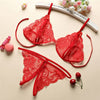 Image of Bras For Women Sexy Lingerie Set Femme Push Up Bra And Panty Set Lace Underwear Bralette Transparent Bra Set Vintage Conjunto Bh