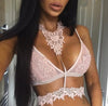 Image of 2017 Women Sexy Transparent Backless Sheer Lace Bralette Hollow Out Halter Chocker Bra Cropped Lingerie Wireless Bustier Bra Top