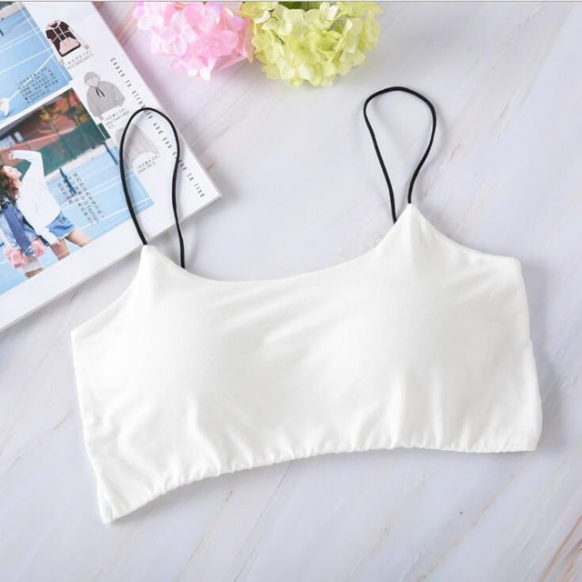ALBREDA Women High-quality Fitness Yoga Sports Bra For Running Gym Padded Wire Shake proof Underwear Seamless Fitness Top Bras