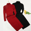 Image of Autumn Winter Women Knitted Dress Turtleneck Sweater Dresses Lady Slim Bodycon Long Sleeve Bottoming Dress Vestidos PP021