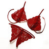 Image of Bras For Women Sexy Lingerie Set Femme Push Up Bra And Panty Set Lace Underwear Bralette Transparent Bra Set Vintage Conjunto Bh