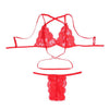 Image of CDJLFH 2019 Women Sexy Lace Bra Set Transparent Across Bra High Waist G-string Underwear Women Lingerie Suit 6 Styles 4 Colors