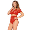 Image of Comeondear Lace Bra Set Transparent 5XL Underwear Women Sexy Set Plus Size Full Bra And Panty High Waist Lingerie Porno RB80760
