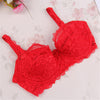 Image of Fashion Women Sexy Underwear  Bra Push Up Padded Lace Sheer Bra 32-40 B 7 Colors t6