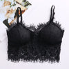 Image of Hot sexy women bra Summer 2019 fashion Sheer Lace floral Bralette Bras Girls Strappy lingerie bra underwear sweet wire free Bra