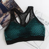 Image of Mesh Sports Bra Hollow Out Sport Top Seamless Fitness Yoga Bras Women Gym Top Padded Running Vest Shockproof Push Up Crop Top