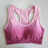 Image of Nepoagym Sports Bra Top Fitness Running Gym Bra Ombre Seamless Sport Bra Fitness Clothing Yoga Bra Push Up High Impact Yoga Top