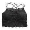 Image of New Arrival Lace Bra Sexy Camis Chest Padded Tank Tops Women Wearing Fitness Underwear Lace Bralette Crop Top