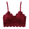 Image of New Arrival Lace Bra Sexy Camis Chest Padded Tank Tops Women Wearing Fitness Underwear Lace Bralette Crop Top