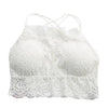 Image of New Arrival Lace Bra Sexy Camis Chest Padded Tank Tops Women Wearing Fitness Underwear Lace Bralette Crop Top