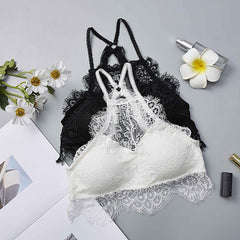 Padded Basic Bras for Women BH Sexy Sheer Lace Bra Triangle Solid Color Beauty Back Push Up Bra 2019 New Female Underwear Bralet