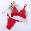 Image of Plus Size Women Sexy Lingerie Transparent Bralette Set Lace Underwear Set Women Bra And Panty Set Sutia Bra Set Vs Ropa Interior