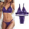 Image of Sex Lace Underwear Set Women Bra And Panty Set Sutia Bra Set Ropa Interior Sexy Lingerie Porno Transparent Bralette Set Lenceria