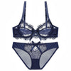 Image of Sexy Embroidery Transparent Bras Set Women Plus Size Lingerie Set Ultra thin C D Cup Underwear Bow Brassiere panties Bra Set