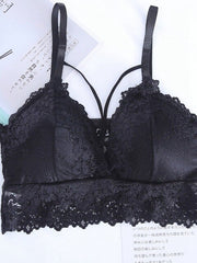 Sexy Sheer Lace Bras for Women Padded Solid Pink White Black Spaghetti Straps Bralette Wire Free Beauty Back Female BH underwear