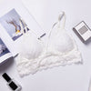 Image of Women Bralette Seamless Lace Girl Women Padded Wire Free Bra Wireless Thin Underwear Sexy Lingerie Soft Bras For Women